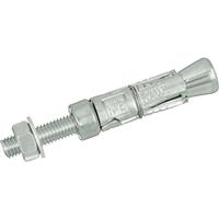 Rawlplug Projecting Rawlbolt M10 x 135mm (5 Pack) in Silver