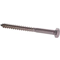 Apex Stainless Steel Coach Screw M6 x 70 (10 Pack) in Silver