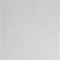 Anaglypta Armadillo Chelsea RD7022 (2 Rolls) in White