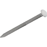 Deltaleigh Plastic Top Nail 14g x 40mm (250 Pack) in Silver