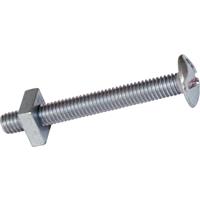 Unbranded Roofing Bolt M5 x 25 (25 Pack) in Silver Steel