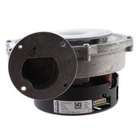 Glowworm 0020037309 Fan