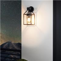 Eglo Trecate Modern Lantern Style Clear Outdoor Wall Light in Black