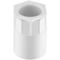 D-Line PVC Conduit Female Adaptor 25mm in White