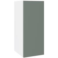 Kitchen Kit Wall Kitchen Cabinet Flatpack Slab Supermatt 300mm in Agave Green