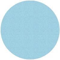 Trend Mesh Sanding Disc 225mm 180G (5 Pack) in Blue Aluminium