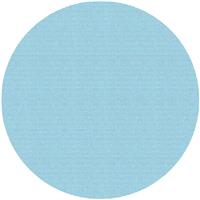 Trend Mesh Sanding Disc 225mm 80G (5 Pack) in Blue Aluminium