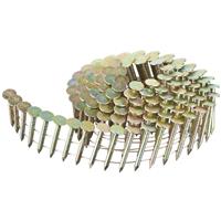 DeWalt Coiled Galvanised Roofing Nails 3.1mm x 19mm in Silver Steel