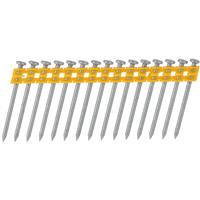 DeWalt Standard Concrete Nails 2.6mm x 50mm (510pc) in Silver Plastic