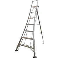 Werner Garden Ladder 5 Tread in Silver Rubber
