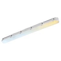 Aurora LinearPac CWS Anti-Corrosive Batten IP66 5ft in White Steel