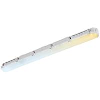 Aurora LinearPac CWS Anti-Corrosive Batten IP66 2ft in White Steel