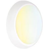 Aurora Mestor CWS LED Bulkhead IP65 in White