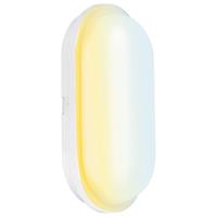 Aurora Utilite CS Oval LED Bulkhead IP65 20W in White