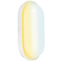 Aurora Utilite CS Oval LED Bulkhead IP65 15W in White