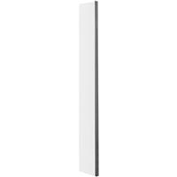 Nuie Frameless 250mm Wetroom Panel Brushed in Pewter