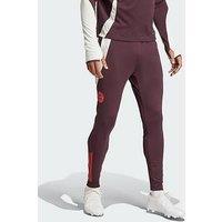 FC Bayern adidas Training Pants - Maroon