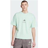 Adidas Mercedes - Amg Petronas Formula One Team Premium Woven Tee Men