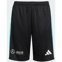 Adidas Mercedes - Amg Petronas Formula One Team Dna Short Youth - Black/White