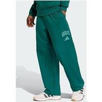 Adidas Collegiate Pant