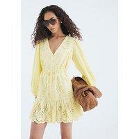 River Island Long Sleeve Cutwork Mini Shirt Dress