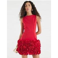 River Island Sleeveless 3D Floral Hem Mini Dress