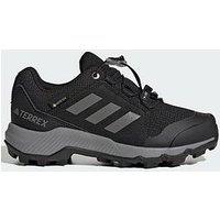 Adidas Terrex Goretex Hiking Shoes