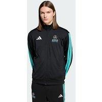 Adidas Mercedes - Amg Petronas Formula 1 Team Dna Track Top