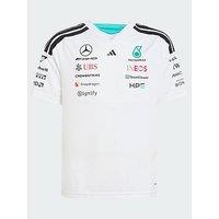Adidas Mercedes - Amg Petronas Formula 1 Team Driver Jersey