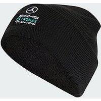 Adidas Mercedes - Amg Petronas Formula 1 Team Dna Beanie