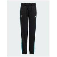 Adidas Mercedes - Amg Petronas Formula 1 Team Dna Pant