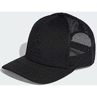 Adidas Mercedes - Amg Petronas Formula 1 Team Night Trucker Cap