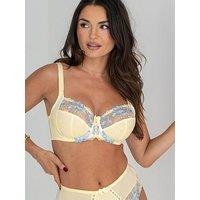 Pour Moi Sofia Lace Embroidered Side Support Bra D-J