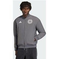 Adidas Mercedes - Amg Petronas Formula 1 Team Silver Arrows Icon Jacket Men