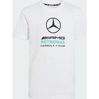 Adidas Mercedes - Amg Petronas Formula 1 Team Dna Graphic Tee