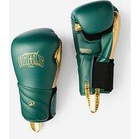 Decathlon One-Piece Foam Boxing Gloves For Experienced Boxers - Green