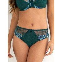 Pour Moi Sofia Embroidered Lace Bikini Brief