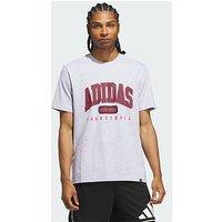 Adidas Collegiate Graphic T-Shirt
