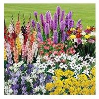 You Garden 300 Summer Bulb Collection 7 Varieties