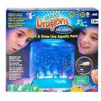 Aqua Dragons