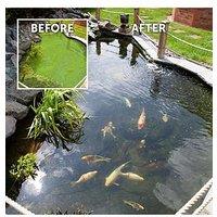 You Garden Pond Clear Pro 2-Step Pond Clearing Treatment - 20,000L