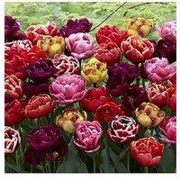 You Garden Peony Flowered Tulip Mix X 15 Bulbs