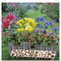 You Garden Balcony Plant O Mat X 38 Bulbs Spring Version