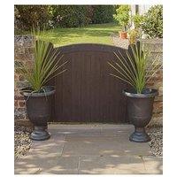 You Garden Pair 80-100Cm Cordylines 14Cm Pot