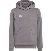 Adidas Youth Entrada 22 Training Hoody - Grey