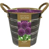 You Garden Outdoor Allium Bucket