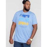D555 Marham Florida Palm Tree Printed T-Shirt - Blue Marl