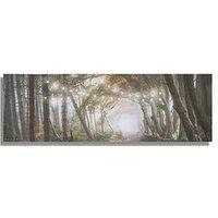 Art For The Home Woodland Wander Led Canvas Wall Art