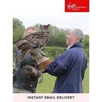 Virgin Experience Days Falconry Taster For Two - 9 Uk Locations