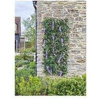 Smart Garden Wisteria Expanding Trellis 180 X 60Cm